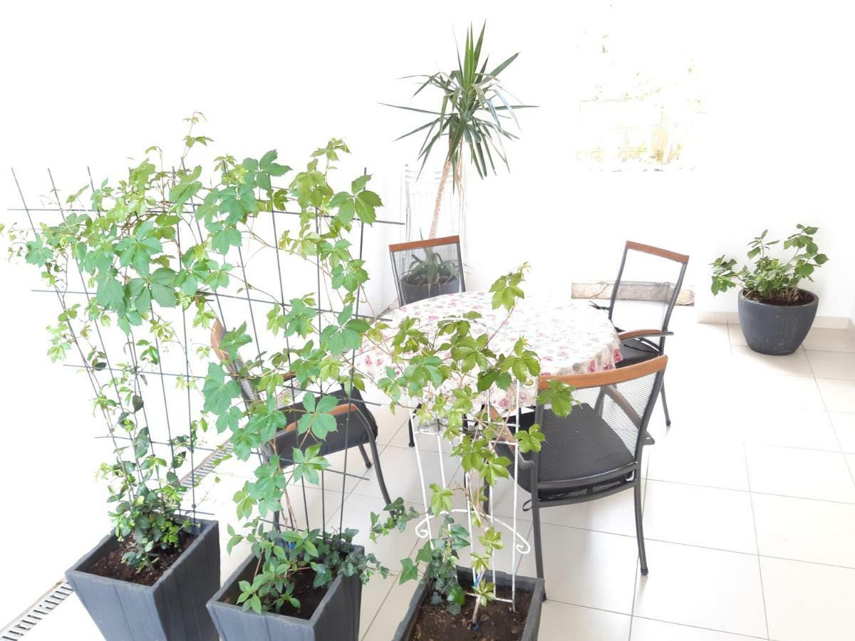 Apartments Kule 브렐라 외부 사진